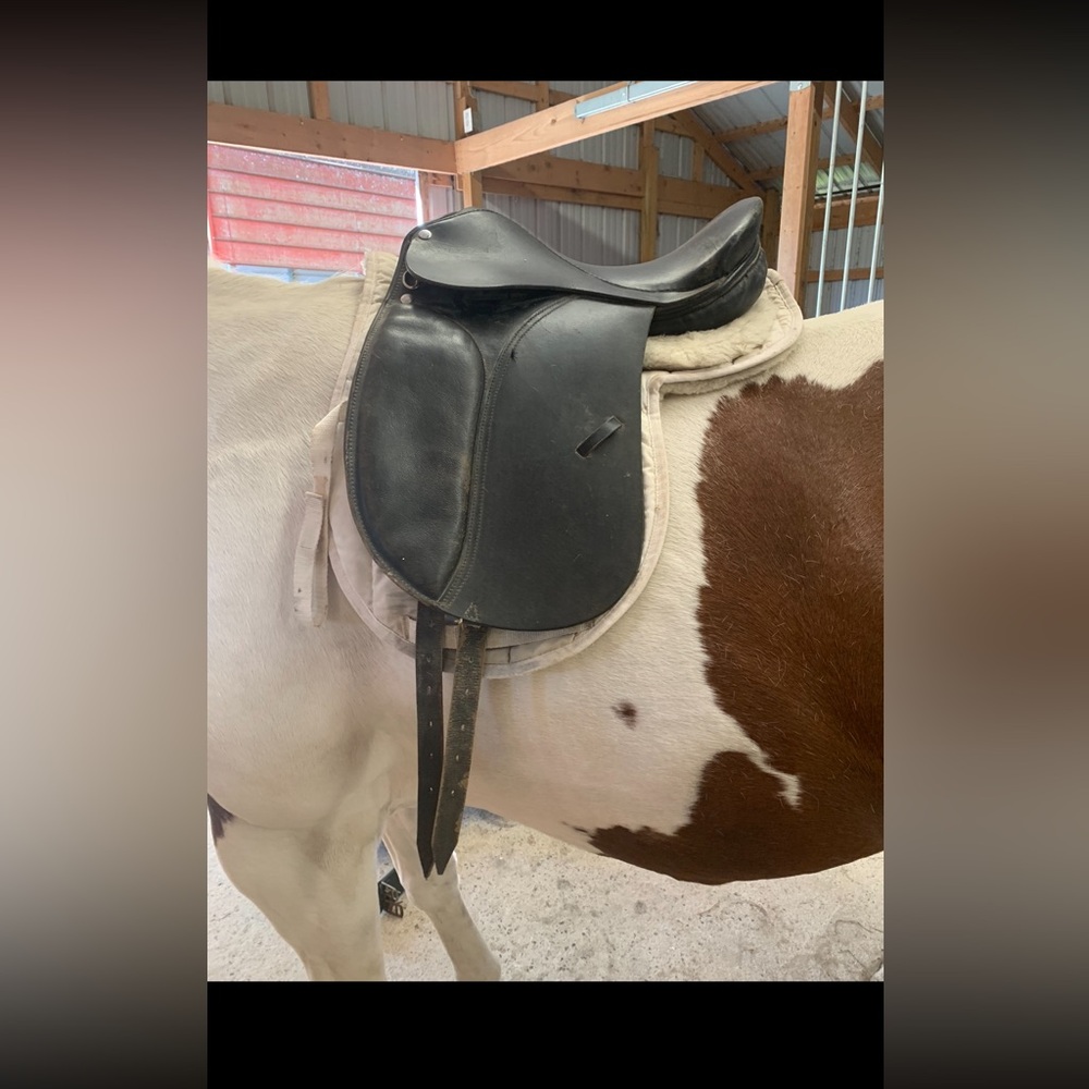 Dressage saddle